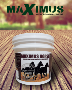 Maximus Horse