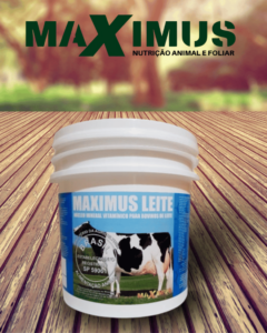 Maximus Leite